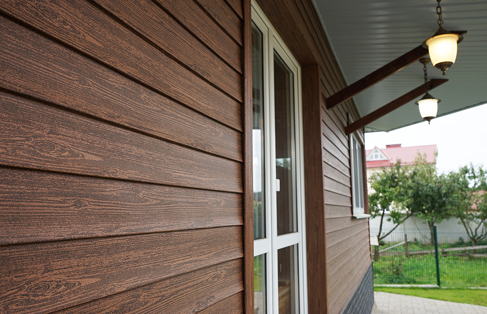 Ель Сибирская