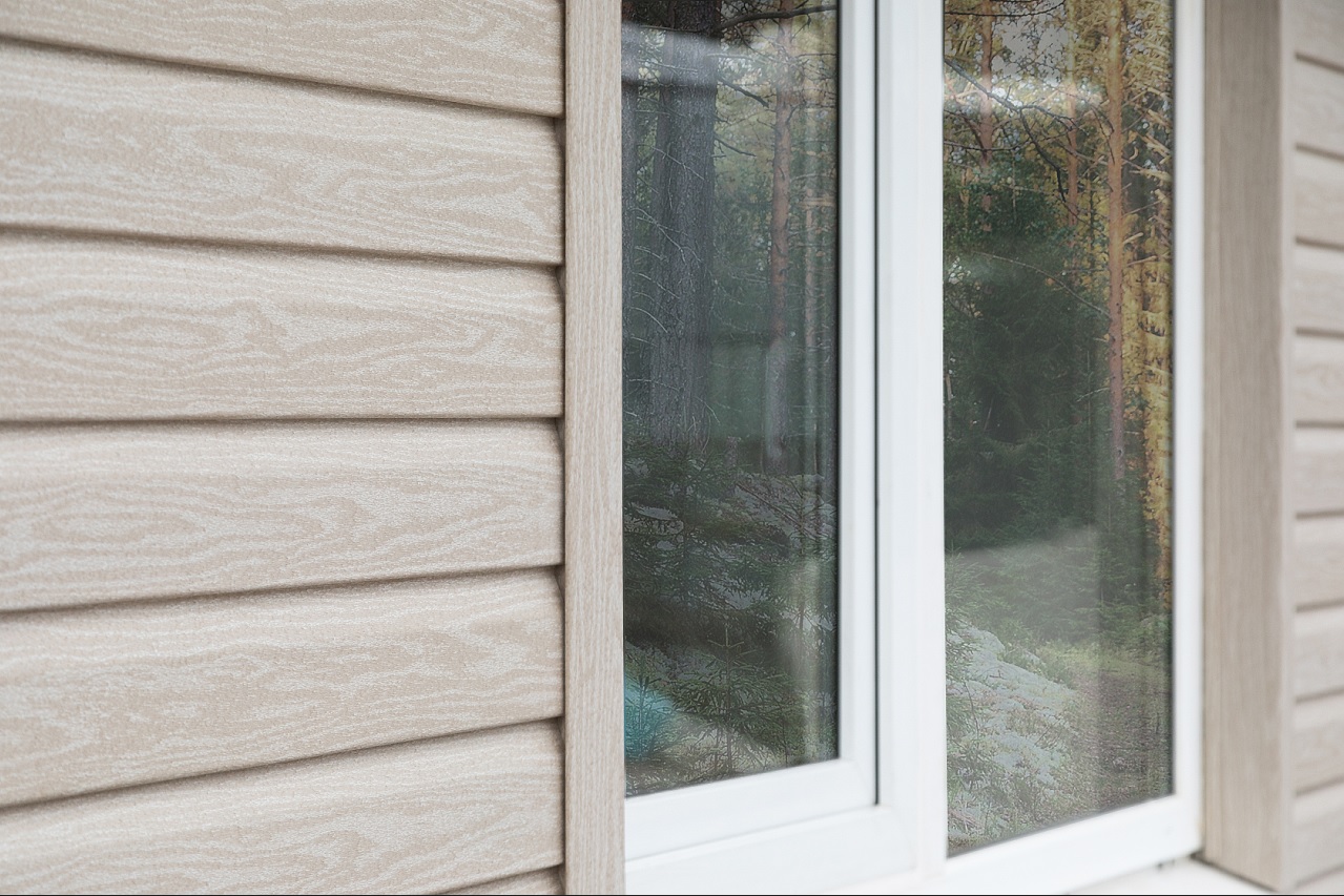 кедр Полярный