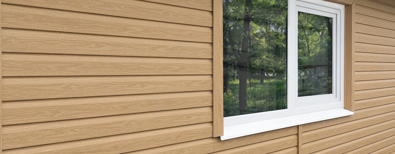 кедр Янтарный