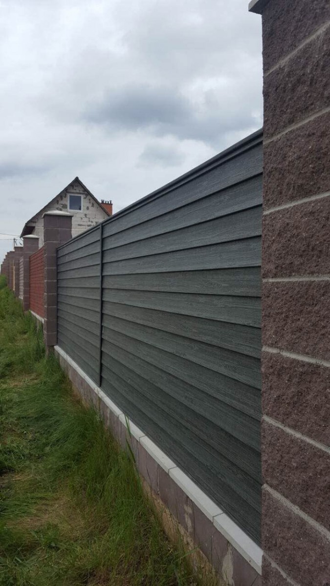 Ель Ирландская