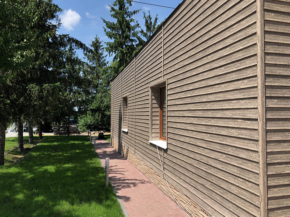 Ель Альпийская