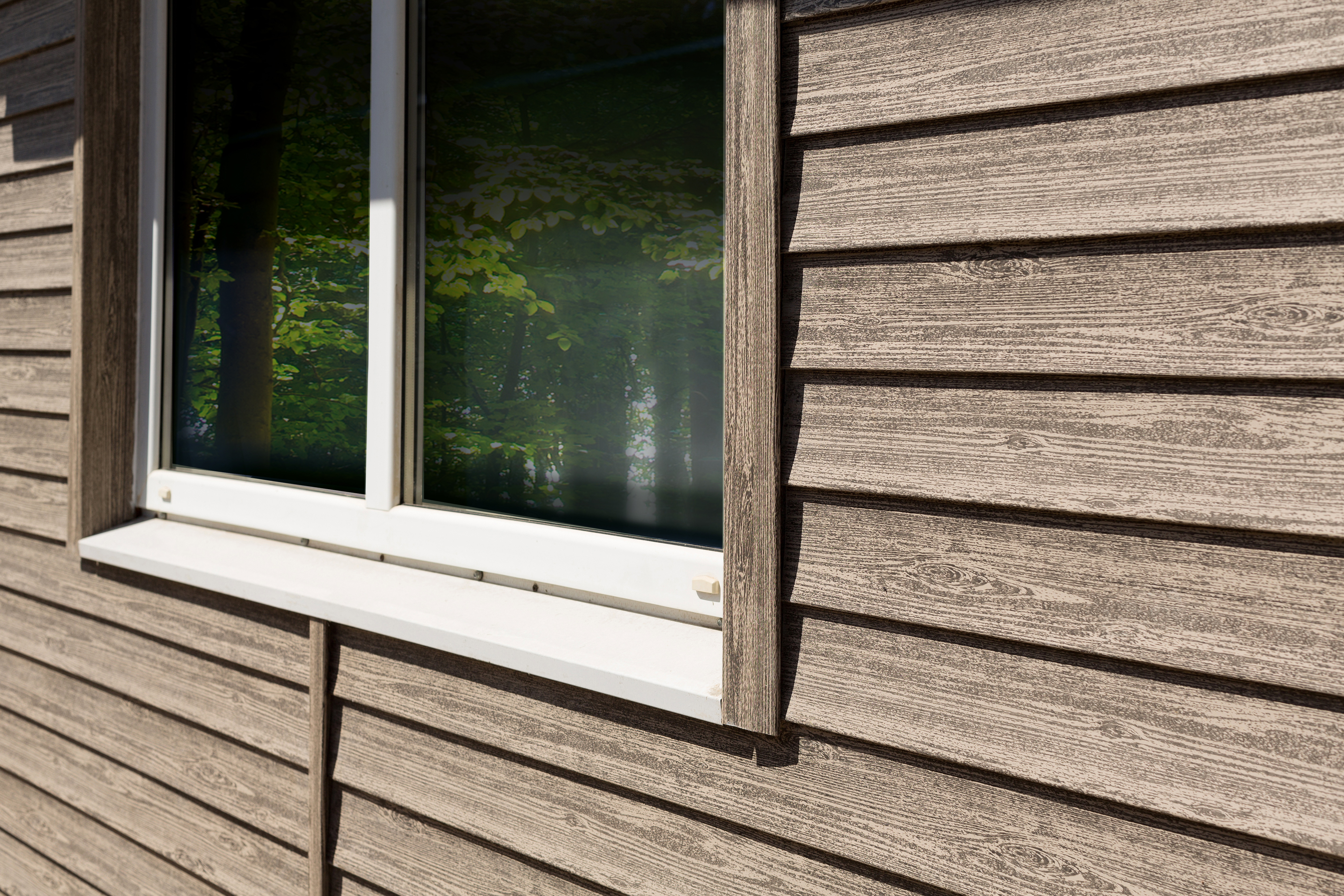 Ель Альпийская