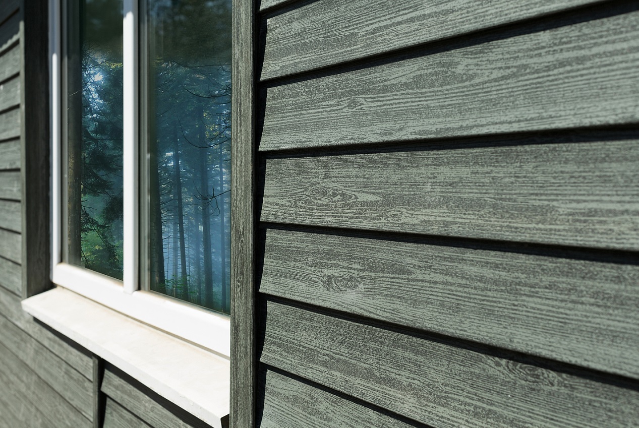 Ель Ирландская