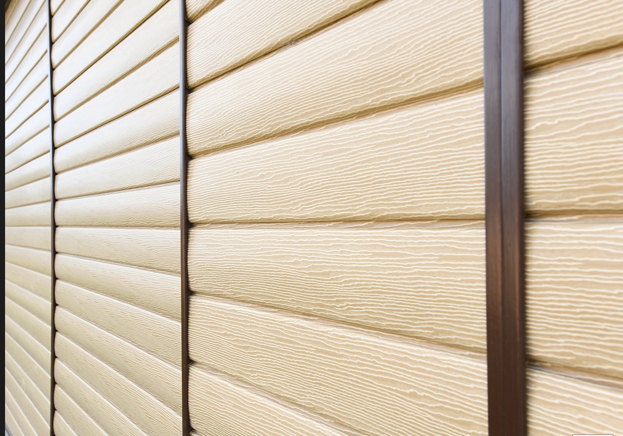 Дуб золотой