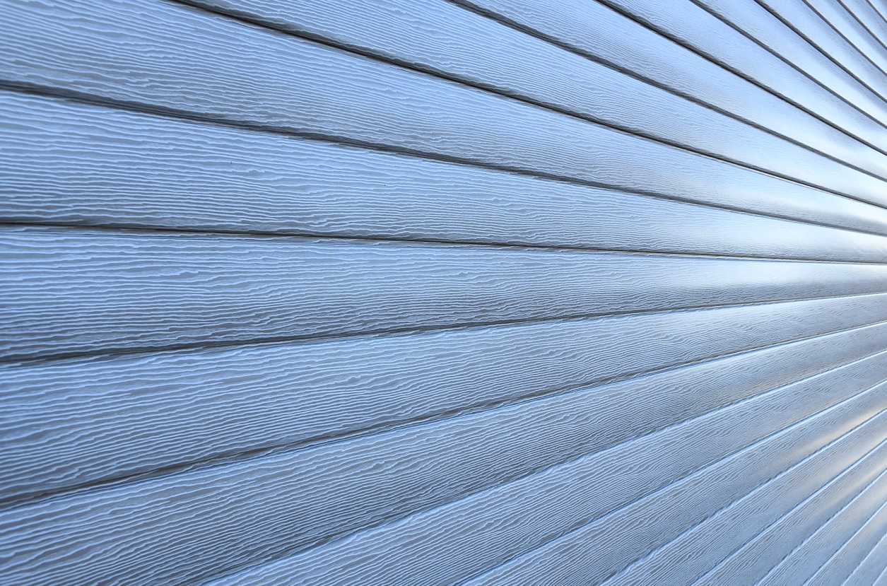 Дуб Серебристый