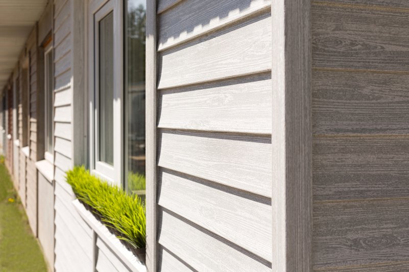 Ель Скандинавская